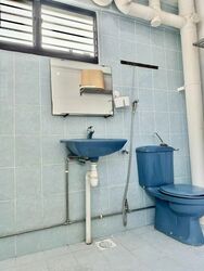 Blk 246 Serangoon Avenue 3 (Serangoon), HDB 5 Rooms #588117101